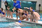 Swimming & Diving vs Babson  Swimming & Diving vs Babson College. - Photo by Keith Nordstrom : Wheaton, Swimming